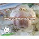 normal white garlic 4.5cm