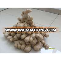 dry ginger /air dry ginger 250g up