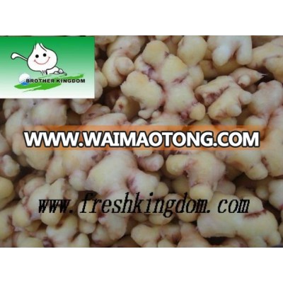 Fresh Ginger for USA, Europe, New Zealand