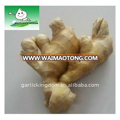 Air-dried Ginger direct from the factory