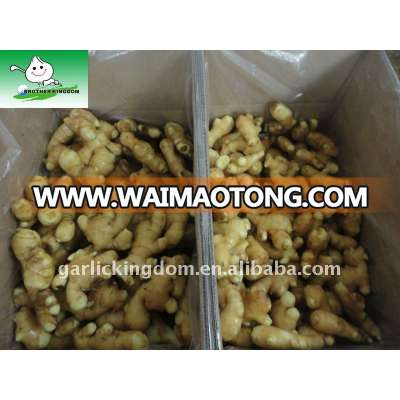 Fresh Ginger 100g and up