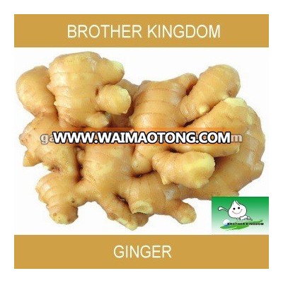 air dried ginger,fresh ginger,dried ginger