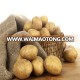 China Fresh Potato Exporters--JINING BROTHER INTERNATIONAL