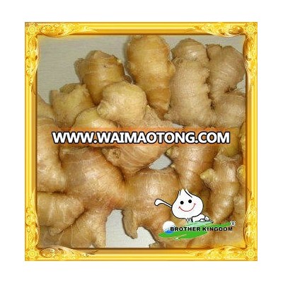 New crop fresh ginger/Best price ginger/ Fresh ginger China