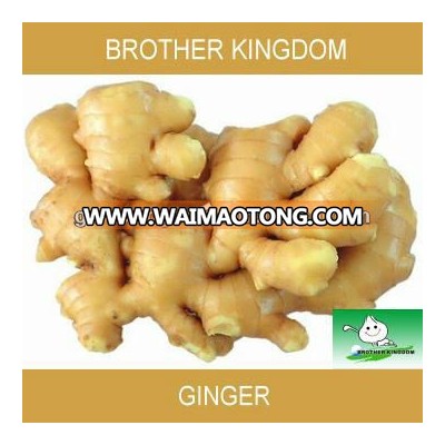 wholesale fresh ginger,dehydrated ginger,air dried ginger