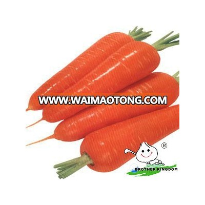 China Xiamen Carrot, Fresh carrrot in superior Quality New Crop Carrot