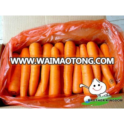 Fresh Carrot In Organic Vegetables,Wholesale Carrots