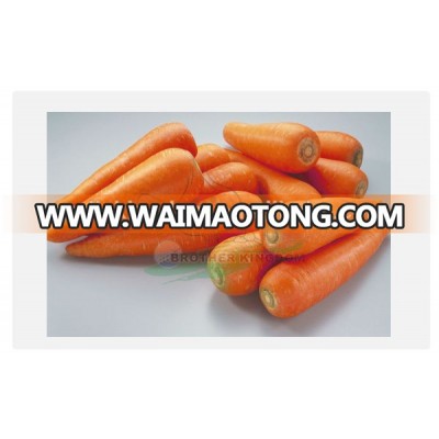 Fresh Carrot Price /new crop organic fresh carrot