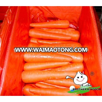 fruit and vegetable prices/ carrot seeds /new season frozen carrots