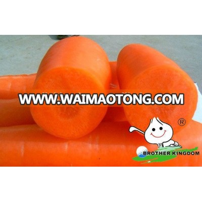 fruit and vegetable prices / carrot seeds /fresh vegetable