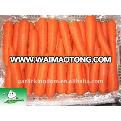 Red Carrot 150g-250g from Jining Brother