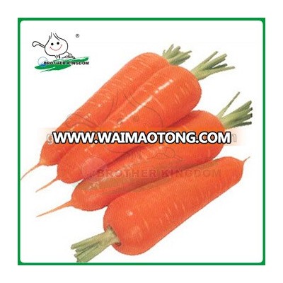 New crop Fresh Carrot/Carrot market price/ Carrot from China