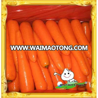 Chinese Fresh Carrot/carrots/Fresh baby carrots