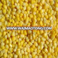 frozen bulk sweet corn or clear plastic sweet corn container