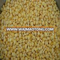 hot selling agricultural product frozen sweet corn with good quality