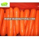 Chinese new crop fresh carrot,red carrot in competitive price