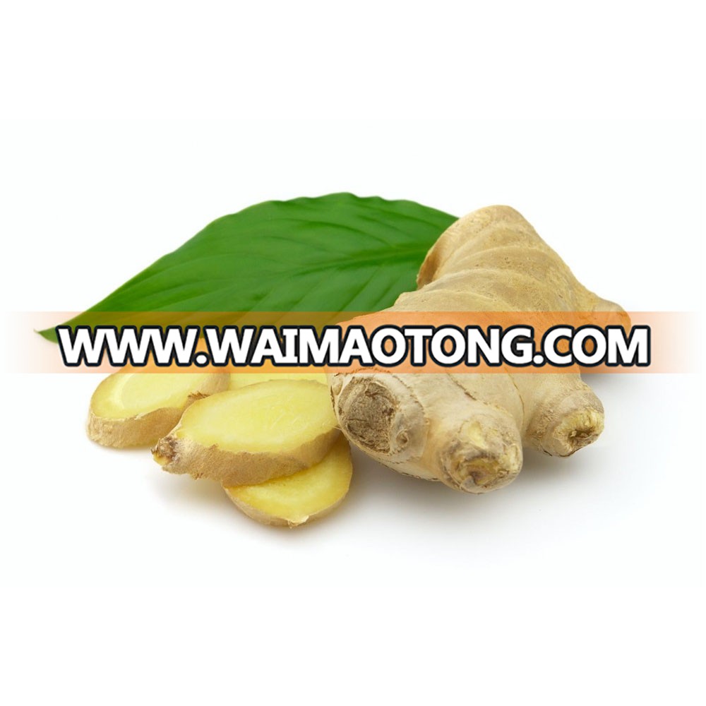 market price for fresh ginger,ginger importing countries,ginger price per kg